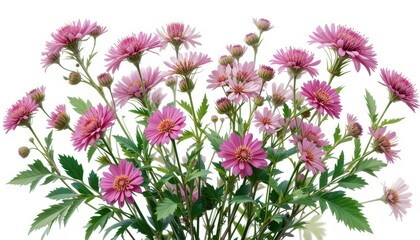 Floral bouquet display garden photo bright studio close-up beauty