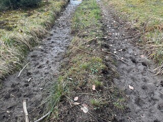path in the field