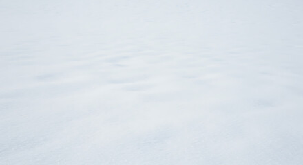 Winter's Soft Embrace AI Generated