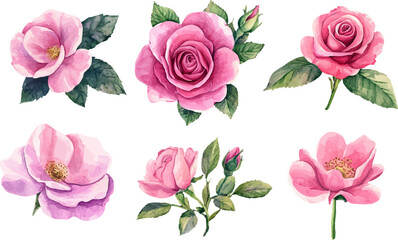 Fototapeta premium set of pink roses vector