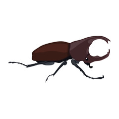 Vector illustration of hercules beetle in cartoon flat style minimalist. Black or brown beetle with detailed horns, animal insects. Perfect for entomology education and natural science materials.