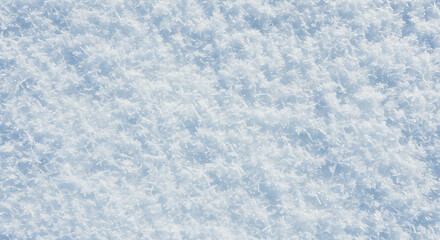 Obraz premium Frozen Whisper AI Generated