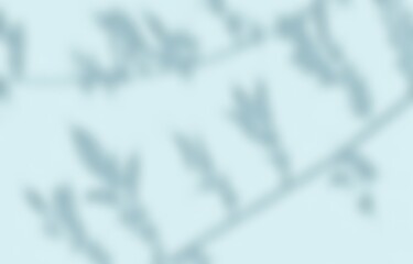 Shadow of leaves tree plant overlay on blue gray wall. Sunlight effect shadow on the wall. Minimal blurred backdrop backgrounds. Summer tropical surface background