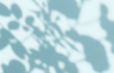 Shadow of leaves tree plant overlay on blue gray wall. Sunlight effect shadow on the wall. Minimal blurred backdrop backgrounds. Summer tropical surface background