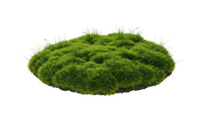 Lush green moss and grass patch forming a natural landscape mound with soft texture and organic growth