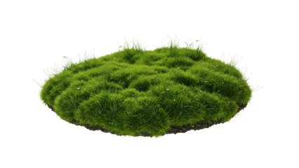 Lush green moss and grass patch forming a natural landscape mound with soft texture and organic growth
