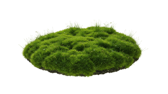 Lush green moss and grass patch forming a natural landscape mound with soft texture and organic growth
