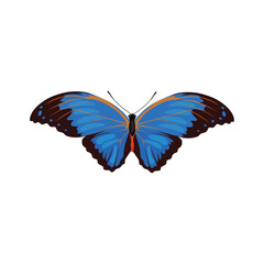 Vector illustration of blue butterfly vector in cartoon flat design. Blue morpho adorable  butterfly with colorful wings, ideal for kids illustrations, educational content, and children’s products