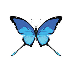 Vector illustration of blue butterfly vector in cartoon flat design. Blue morpho adorable  butterfly with colorful wings, ideal for kids illustrations, educational content, and children’s products