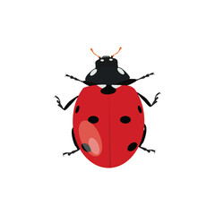 Adorable flat design red lady bug in cartoon flat design, vector hand drawn ideal for kids illustrations, educational content, and children’s products of infographic content
