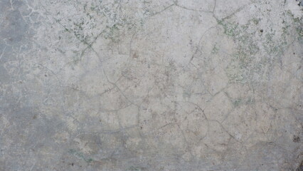 Aged Concrete Wall with Natural Cracks and Moss Texture