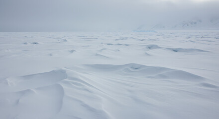 Arctic Whisper: Wind-Sculpted Silence AI Generated