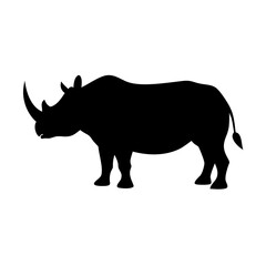 rhino on white background