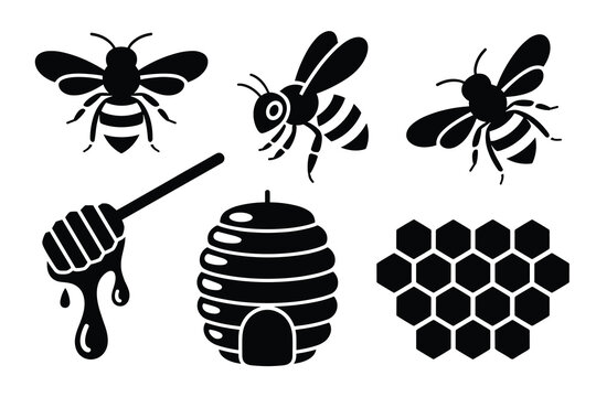 Collection of bee and honey related elements in black and white