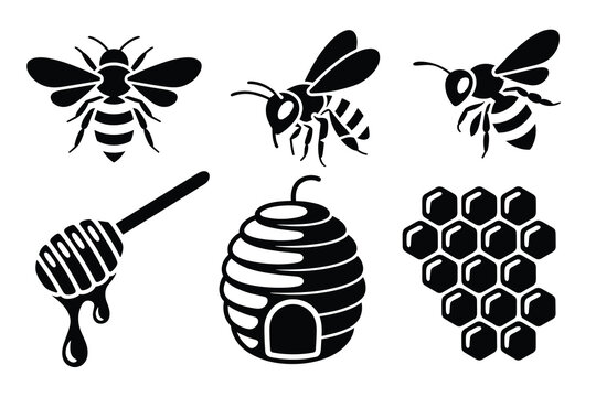 Collection of bee and honey related elements in black and white