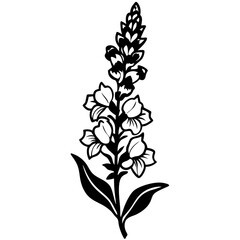 A detailed vector silhouette of a snapdragon flower