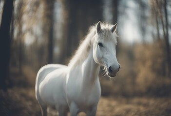 Obraz premium im einhorn mondenschein horse fairy relaxation dream magic romantic tree fantasy butterfly ease white vogel idyl hummingbird molding fly agaric peace forest fairyland imagination tale unicorn rose