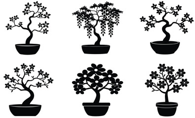 Set of potted plants and bonsai trees isolated on white background