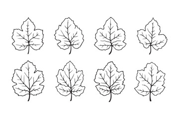 Amaranth leaf line art