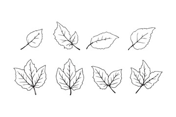 Arjuna leaf line art 