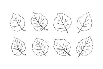 Asoka leaf line art