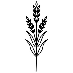 Obraz premium A minimalist vector silhouette of a lavender flower