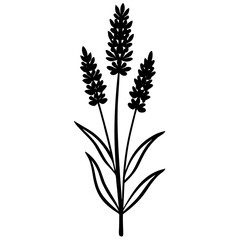 A minimalist vector silhouette of a lavender flower