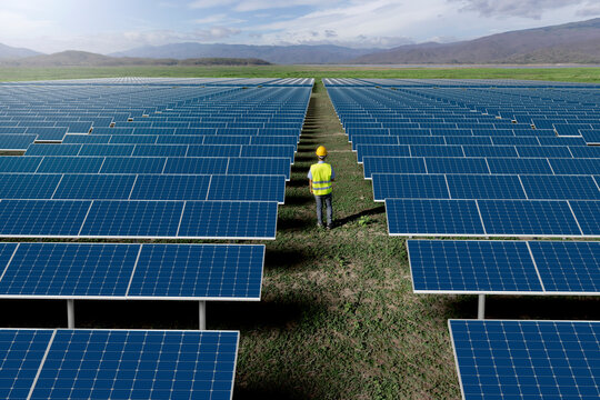 Engineer walking in solar farm generating clean green electricity