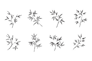 Bamboo leaf line art 