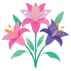 Colorful monsoon lily flowers vibrant pink 