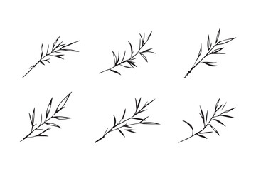 Obraz premium Bamboo leaf line art