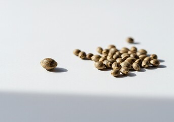 Hemp Seeds: Nature's Tiny Powerhouses