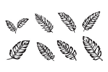 Banana leaf black fill