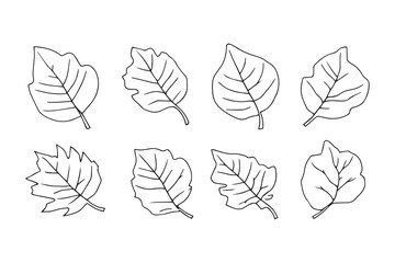 Banyan leaf line art