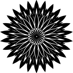 A sharp vector silhouette of an aster flower
