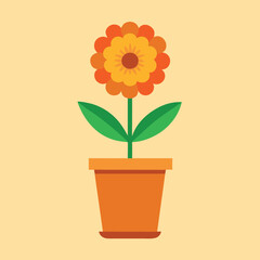 Marigold-sunflower-flowers terracotta-pot 