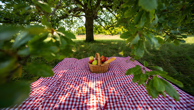 Picknick im Schatten unter B&auml;umen mit Korb auf roter Decke
