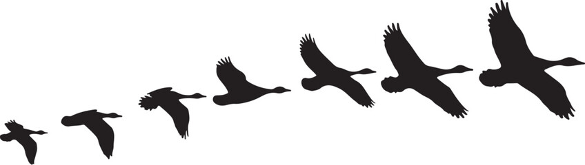 flock of flying geese bird silhouette logo, icon design vector illustration