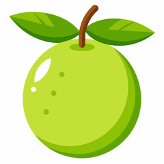 guava fruit vector with white background