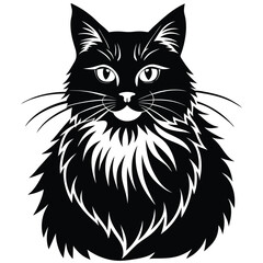 maine coon vector
