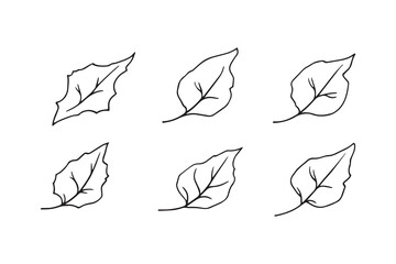 Set of 6 pec in two row  Bougainvillea Leaf line art on white background