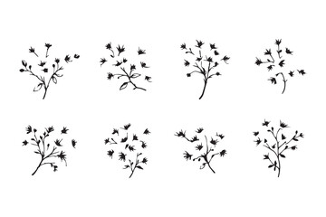 Set of 6 pec in two row  Bougainvillea line art on white background