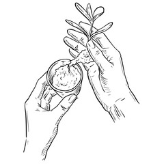 plant handdrawn illustration