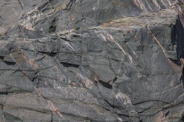 Close-up of a fractured, dark gray metamorphic rock face in natural light.