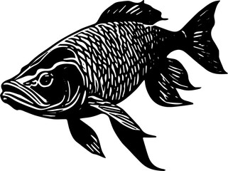 vector illustration of fish