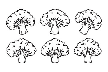 Set of 6 pec in two row  Broccoli Leaf line art on white background