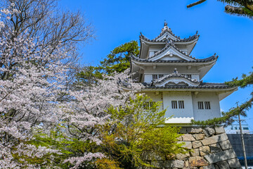 桜と津城 三重県津市 日本