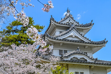 桜と津城 三重県津市 日本