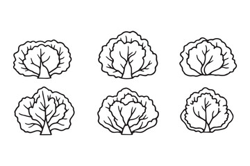 Set of 6 pec in two row  Cabbage  Leaf line art on white background