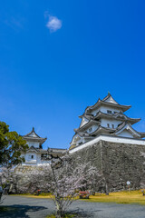 桜と伊賀上野城の風景 三重県伊賀市 日本
